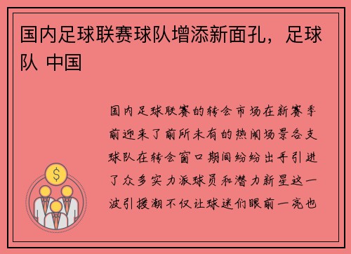 国内足球联赛球队增添新面孔，足球队 中国